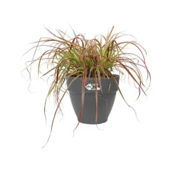 Pot vibia campana rond Elho de 41 L coloris noir Ø 40 x H 33 cm