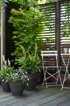 Pot vibia campana rond Elho de 41 L coloris noir Ø 40 x H 33 cm