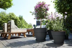 Pot vibia campana rond Elho de 11 L coloris noir Ø 30 x H 25 cm