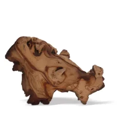Racine décorative pour aquarium ou terrarium coloris marron Aquavie Mopani - Taille PM+