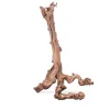 Racine pour terrarium coloris marron Aquavie Mopavigne - Taille L