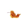 Raisin Danlas bio de France - Prix au kg