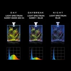 Rampe LED aquarium d'eau douce, 4,8 W, fonction jour et nuit - AQUAEL LEDDY Smart 2.0