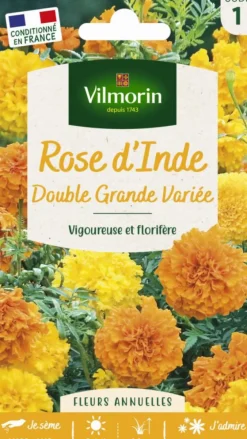 Rose d'Inde Double grande variée Vilmorin - graines à semer