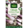 Sachet de graines de ciboule commune rouge