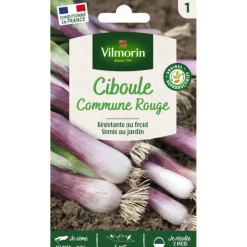 Sachet de graines de ciboule commune rouge