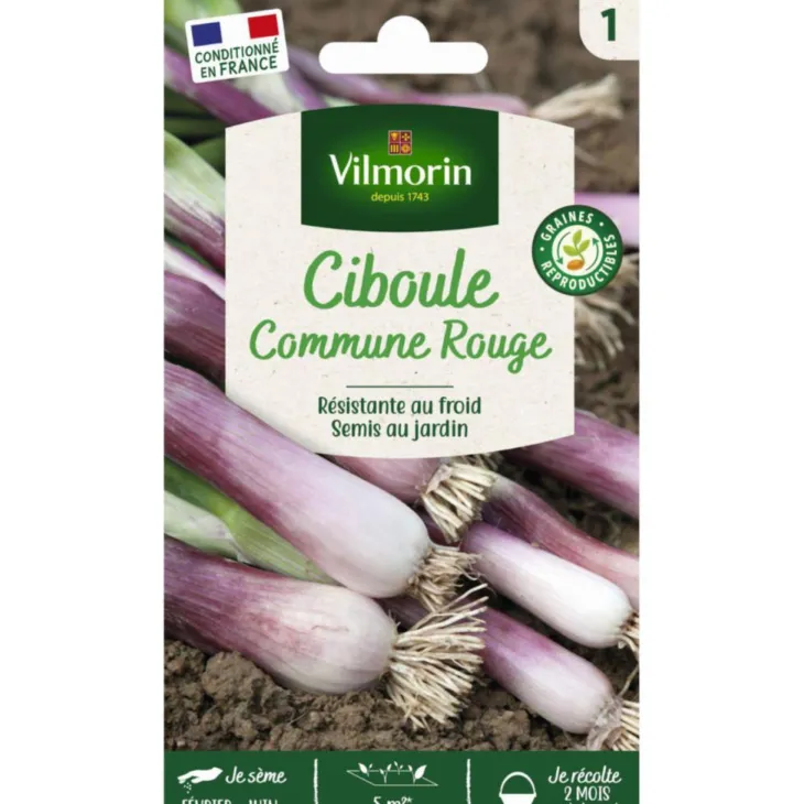 Sachet de graines de ciboule commune rouge