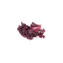 Salade Lollo rouge bio de France - Prix à la pièce