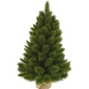 Sapin de Noël artificiel vert Camden avec pied dans toile de jute