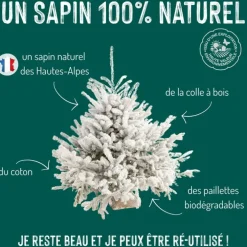 Sapin de Noël naturel blanc effet enneigé Glacé Robin®