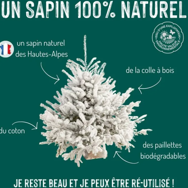 Sapin de Noël naturel blanc effet enneigé Glacé Robin®