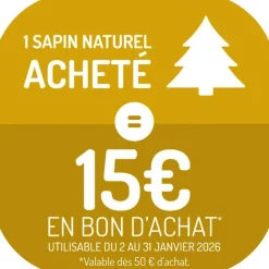 Sapin de Noël naturel en pot Picea Excelsa botanic®