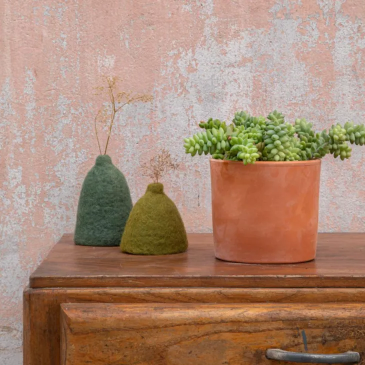 Sedum burrito en pot terre cuite H 40 x Ø 15 cm