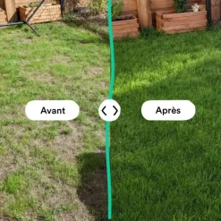 Semences gazon création et rénovation pour tous types de terrain Bleen - 5 kg