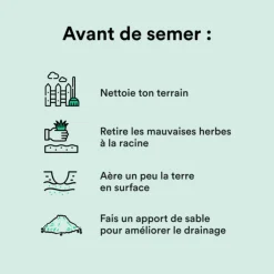 Semences gazon création et rénovation pour tous types de terrain Bleen - 5 kg