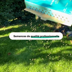 Semences gazon création et rénovation pour tous types de terrain Bleen - 3 kg