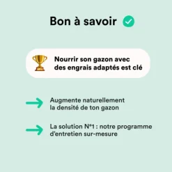 Semences gazon création et rénovation pour tous types de terrain Bleen - 3 kg