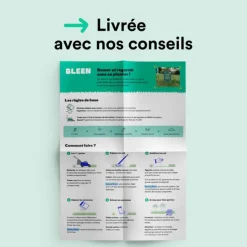 Semences gazon création et rénovation pour tous types de terrain Bleen - 3 kg