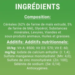 Snack à mâcher Dentalife Large pour grand chien 426 g