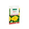 Souci bio botanic® - graines à semer (3 m²)
