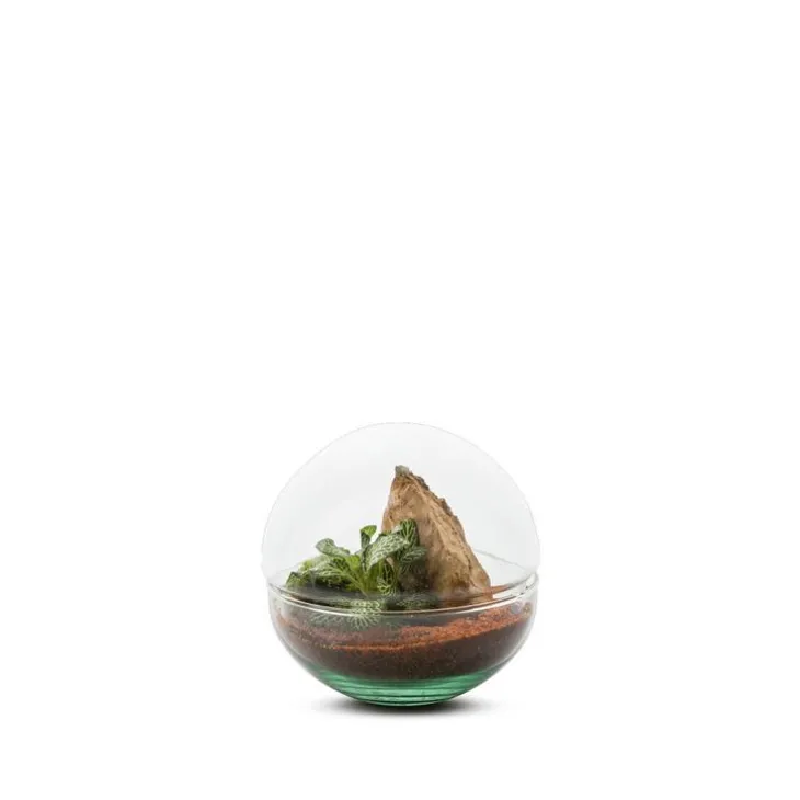 Terrarium Bulle de Nature Mini Monde en verre transparent Naturalys taille S - Ø 12 x 12 cm