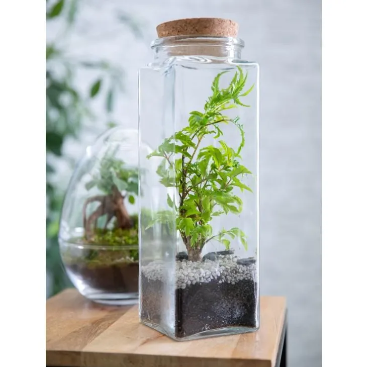 Terrarium quitto Bulle de Nature taille L Ø 10 x h 30 cm