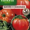 Tomate Côtelée Gourmandia HF1 Vilmorin - graines à semer