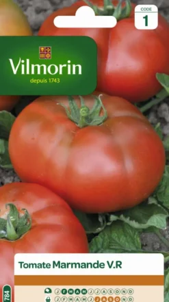 Tomate Marmande VR Vilmorin - graines à semer