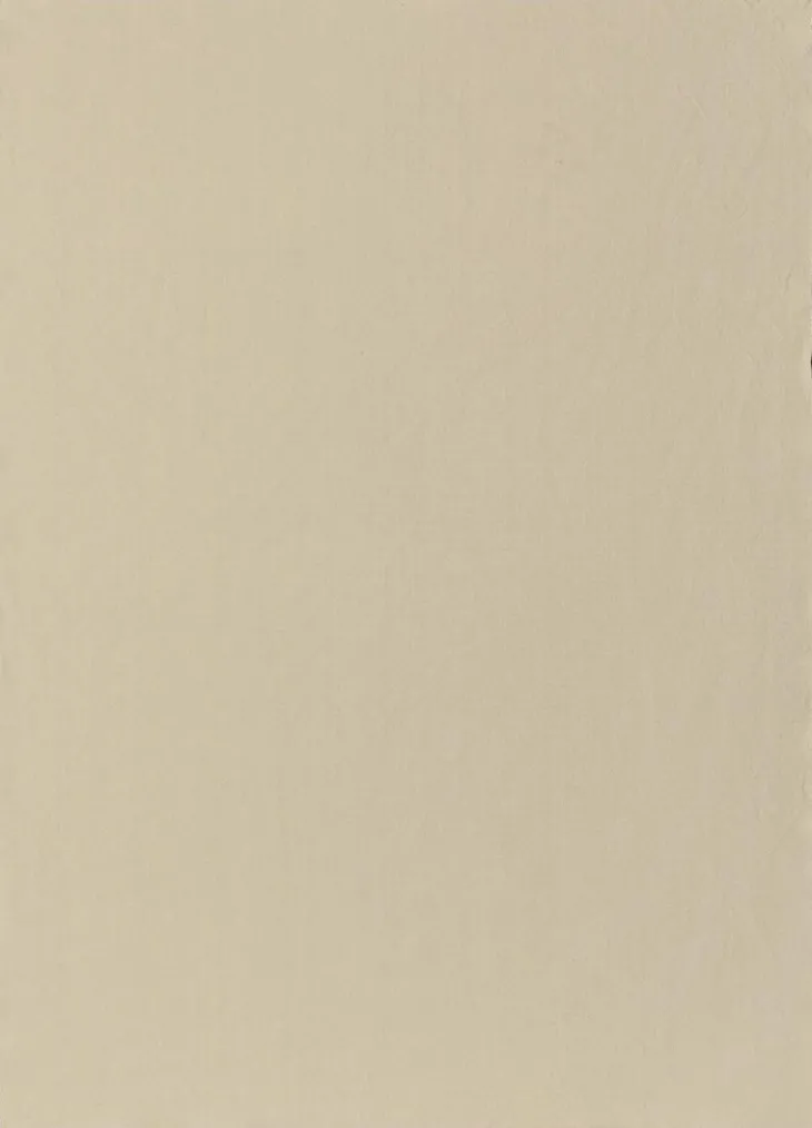 Torchon recyclé Isae coloris beige en coton - 50 x 70 cm