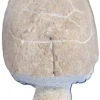 Tortue en granit taupe Vitis in Situ - 10 cm