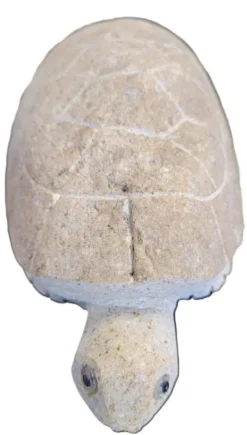 Tortue en granit taupe Vitis in Situ - 10 cm