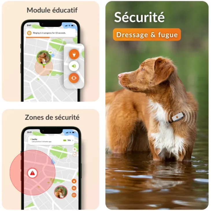Traceur GPS pour chien coloris blanc Weenect