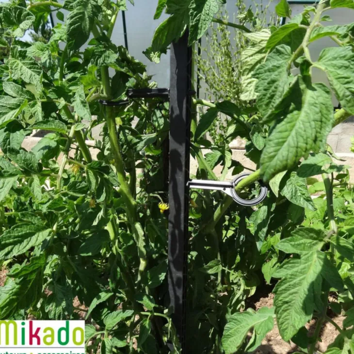 Tuteur à tomate avec 4 attaches coloris gris - 180 cm
