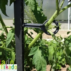 Tuteur à tomate avec 4 attaches coloris gris - 180 cm