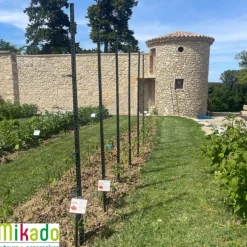 Tuteur à tomate avec 4 attaches coloris gris - 180 cm