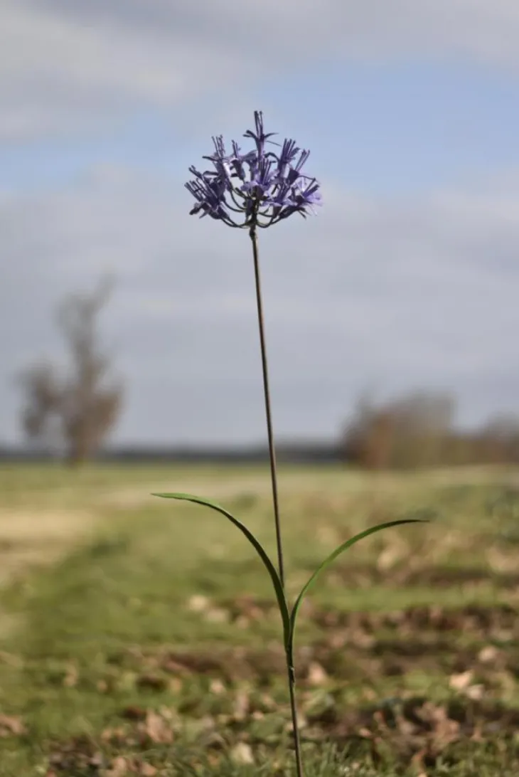 Tuteur en forme de fleur d’Agapanthe en métal recyclé Chouette & Co - H 110 cm