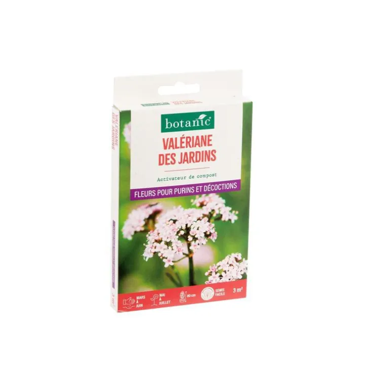 Valériane des jardins botanic® - graines à semer (3 m²)