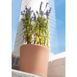 Vase Cilindrico clair D30 x H25,8
